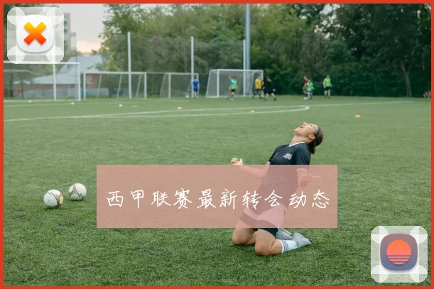 西甲联赛最新转会动态